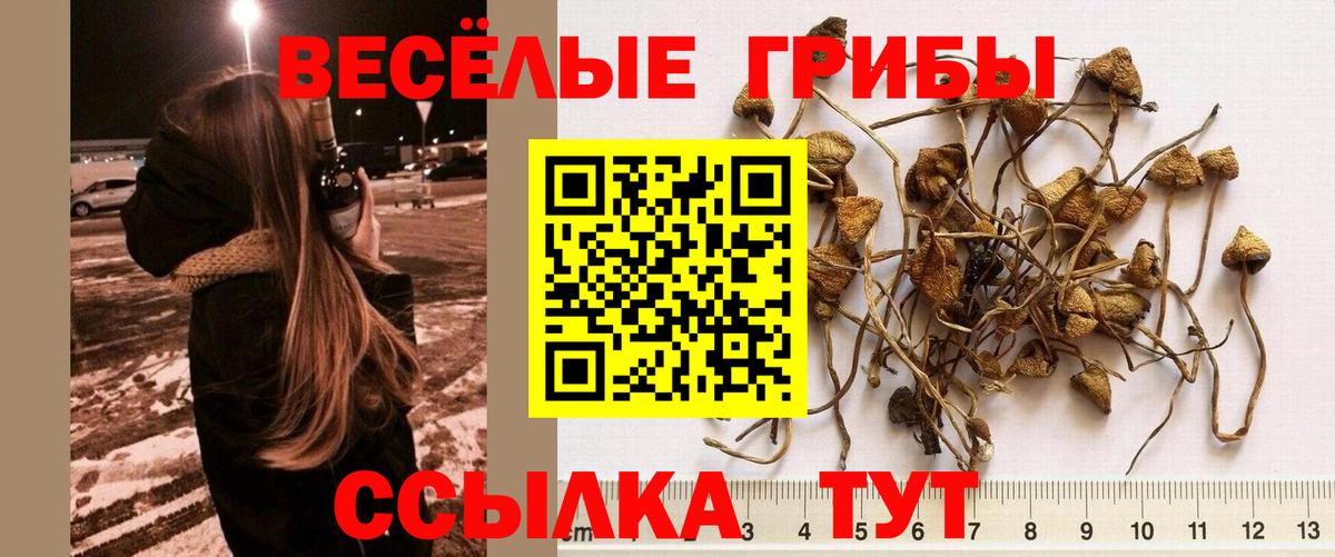 Йошкар-Ола  купить наркотик  Вход с VPN  Галлюциногенные грибы MAGIC MUSHROOMS 