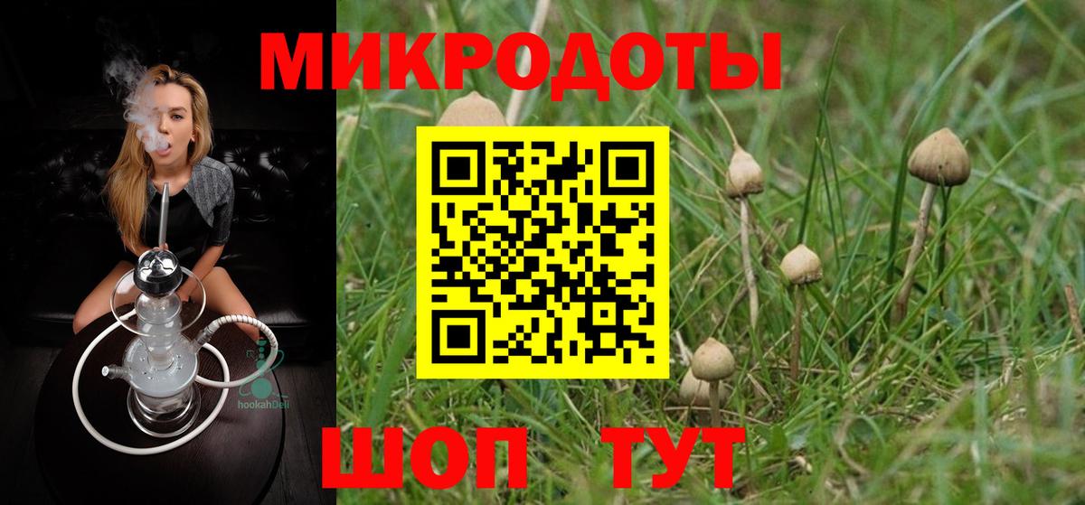 Псилоцибиновые грибы Cubensis Йошкар-Ола
